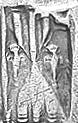 Philips image 15