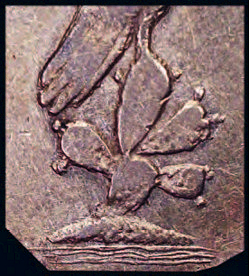 Tallavas image 6
