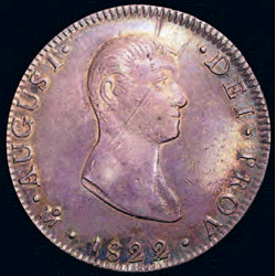 Tallavas image 7
