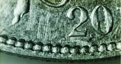 20 varieties image 5