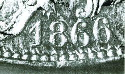20 varieties image 6