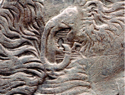 clashed ear detail 2