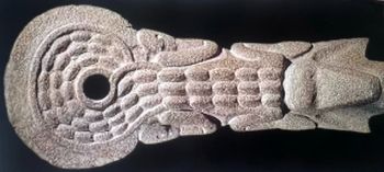 Palma con Cocodrilo