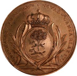 C 56c reverse