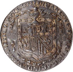 C 61 reverse