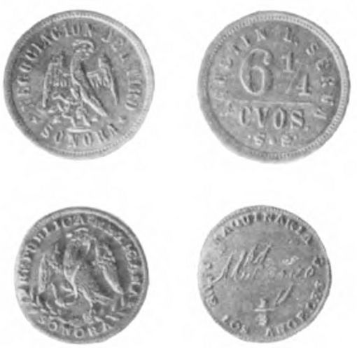 Copper Sonora image 1