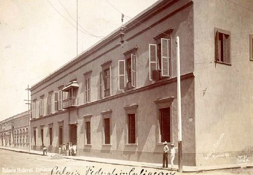 Culiacan mint