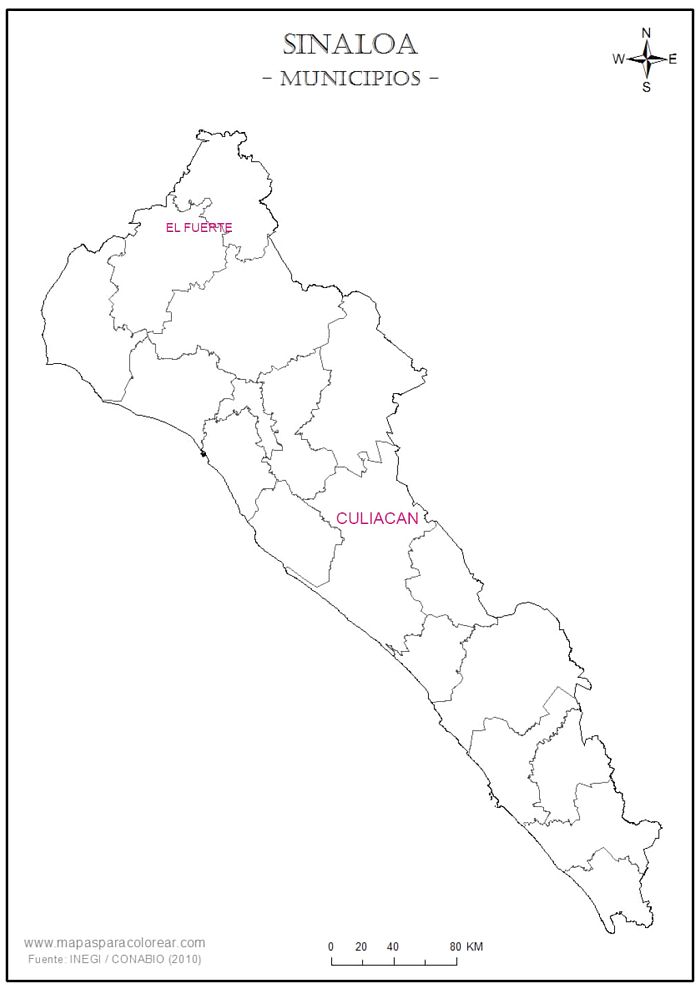 Sinaloa mint