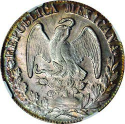 Juárez Muñoz image 2