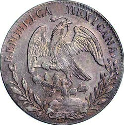 Juárez Muñoz image 6