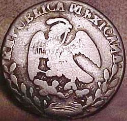 Sigl image 8