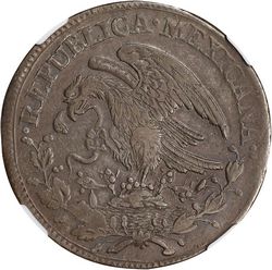KM 376.3 reverse