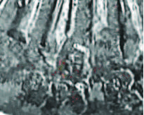 medio real image 14