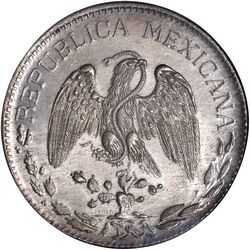619 Chihuahua 1 reverse