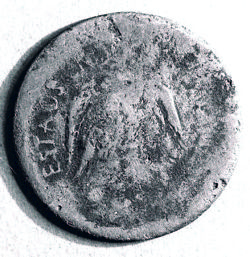 Enigmatics image 8