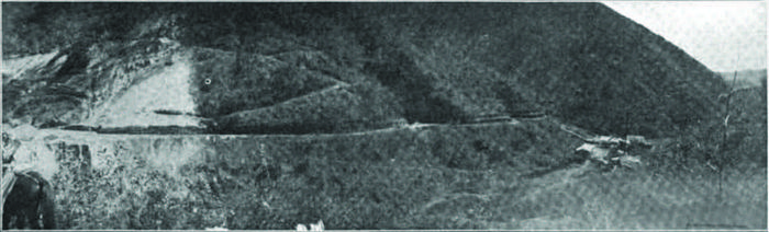 Suriana