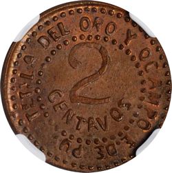 Tetela 2c PU reverse