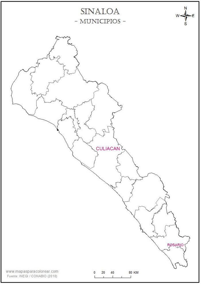 Sinaloa coinage
