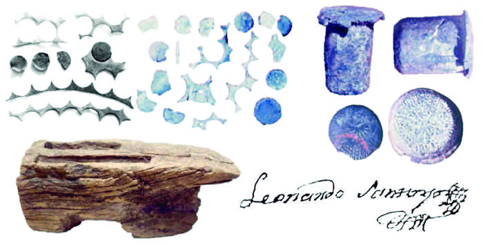 jola image 10