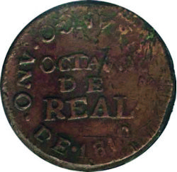 jola image 5