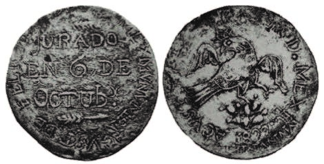 jola image 7b