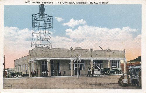 The Owl