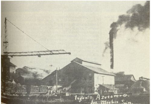 Sinaloa sugar