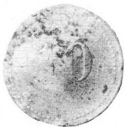 1658 Hacienda El Zacaton 10c reverse