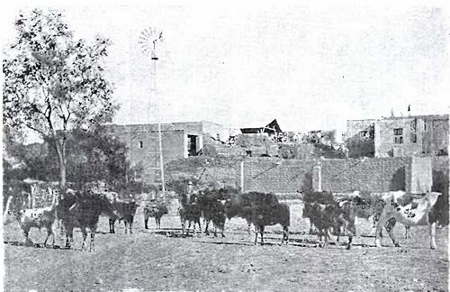 Hacienda El Zacaton