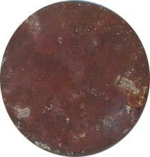 Sacnicte 1 reverse