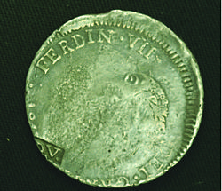 Jara image 12